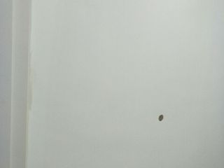 墙、顶面乳胶漆