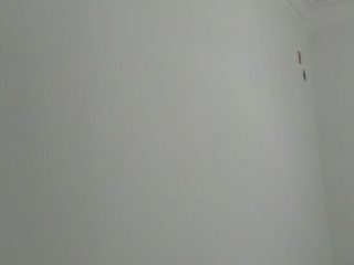墙、顶面腻子批嵌