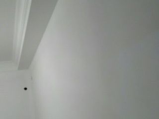 墙、顶面腻子批嵌