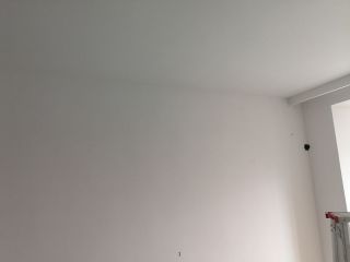 墙、顶面腻子批嵌