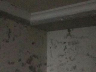 石膏板吊顶施作