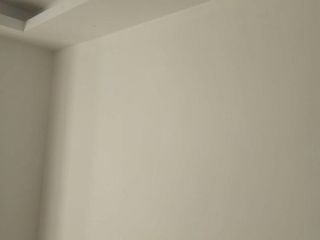 墙、顶面乳胶漆