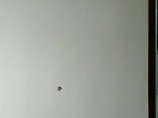 墙、顶面乳胶漆