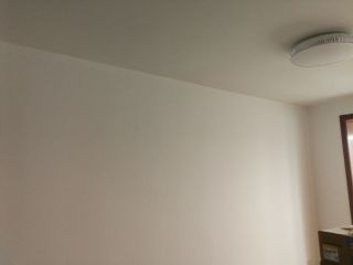 墙、顶面乳胶漆