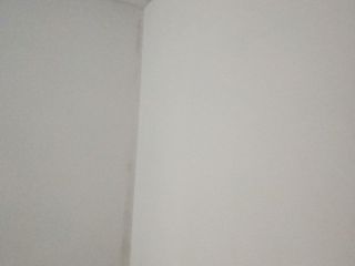墙、顶面腻子批嵌