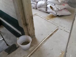 日常巡检