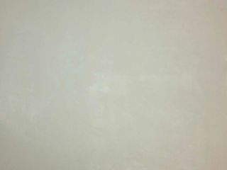 墙、顶面乳胶漆