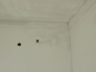 泥木工程 验收