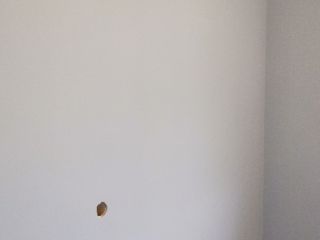 墙、顶面乳胶漆及墙纸铺贴