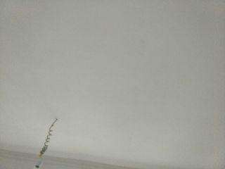 现场木制品造型施作