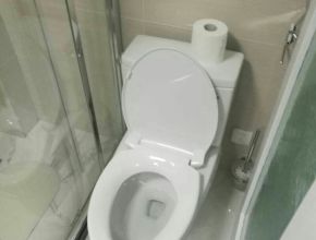 曹杨四村