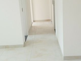 墙、顶面乳胶漆