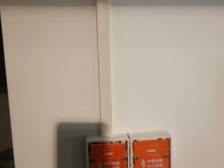 墙、顶面腻子批嵌