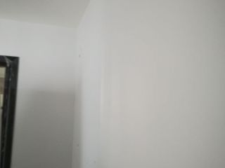 墙、顶面乳胶漆