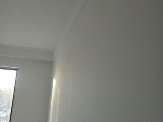 墙、顶面乳胶漆