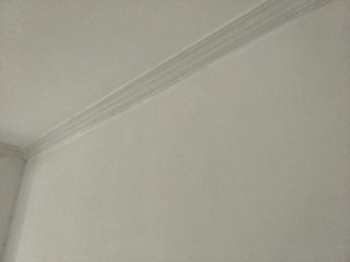 墙、顶面乳胶漆