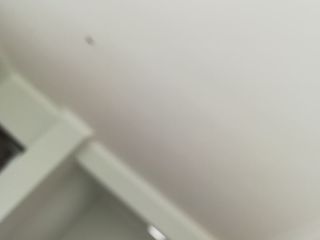 墙、顶面腻子批嵌