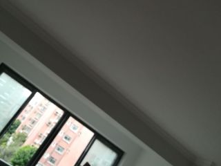 墙、顶面乳胶漆