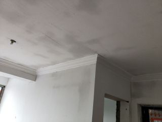 墙、顶面腻子批嵌