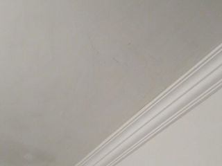 墙、顶面乳胶漆