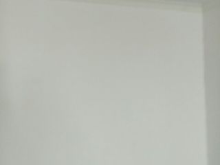 墙、顶面腻子批嵌