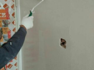 墙、顶面乳胶漆