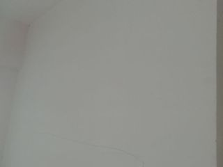 现场背景墙及隔墙施作
