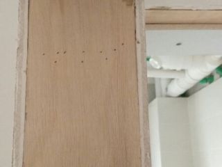 日常巡检