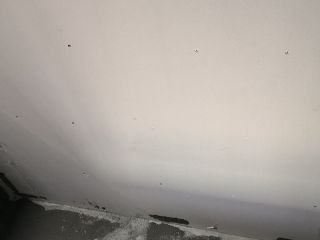 现场木制品造型施作