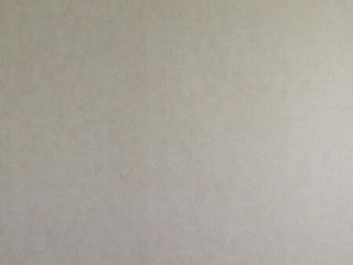 墙、顶面乳胶漆及墙纸铺贴