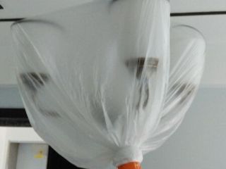 竣工验收