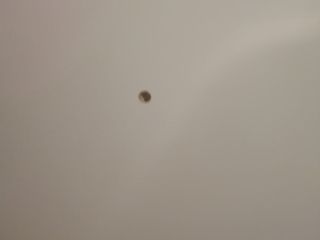 墙、顶面乳胶漆及墙纸铺贴