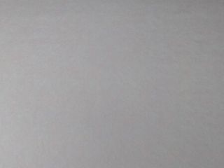 墙、顶面乳胶漆及墙纸铺贴