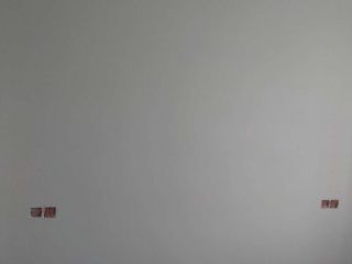 墙、顶面腻子批嵌
