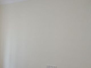 墙、顶面乳胶漆