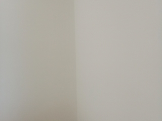 墙、顶面乳胶漆