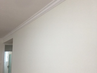 墙、顶面乳胶漆