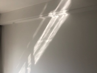墙、顶面腻子批嵌