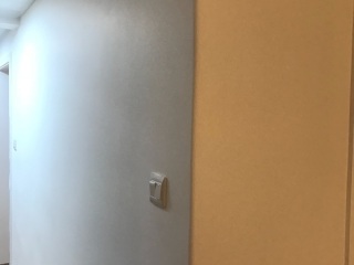 墙、顶面乳胶漆