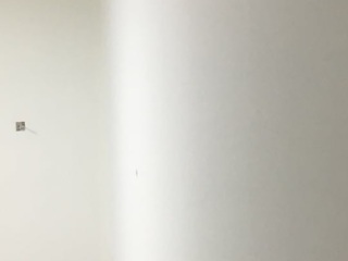 墙、顶面乳胶漆