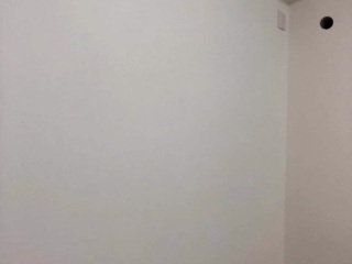 墙、顶面乳胶漆及墙纸铺贴