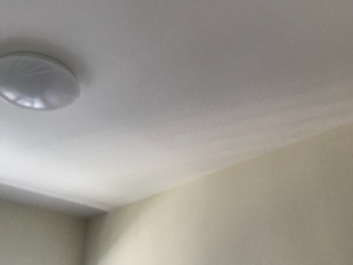 墙、顶面腻子批嵌