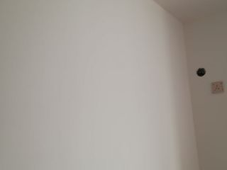 墙、顶面乳胶漆