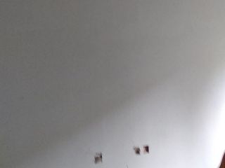 墙、顶面腻子批嵌