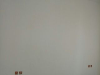 墙、顶面乳胶漆