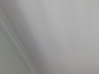 墙、顶面乳胶漆