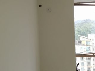 墙、顶面乳胶漆