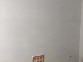 墙、顶面腻子批嵌