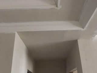 墙、顶面腻子批嵌