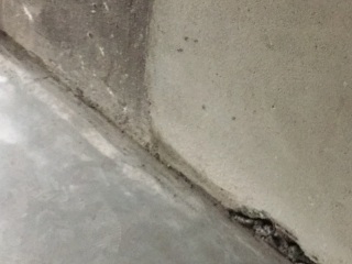 日常巡检